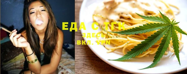 индика Дмитров