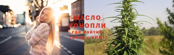 прущий лед Дмитриев