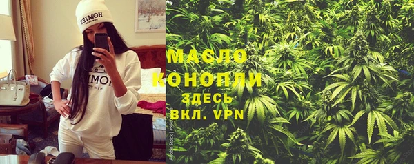 прущий лед Дмитриев