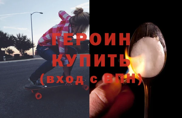 индика Дмитров