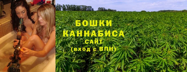 прущий лед Дмитриев