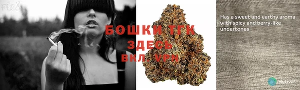 индика Дмитров