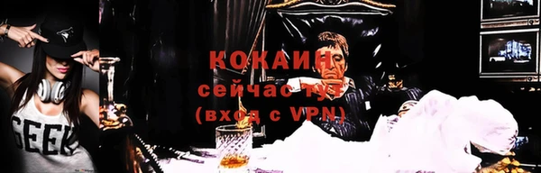 прущий лед Дмитриев