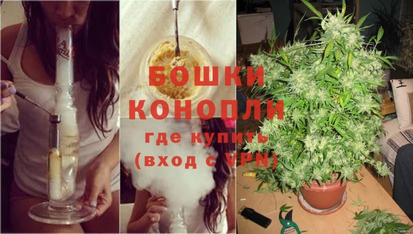 прущий лед Дмитриев