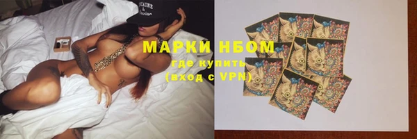 индика Дмитров