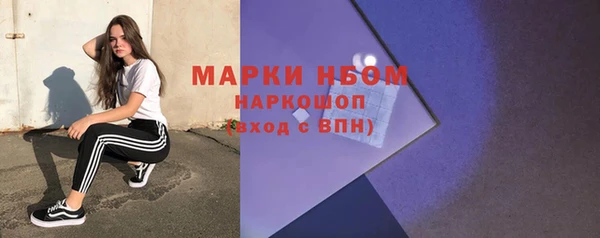 индика Дмитров