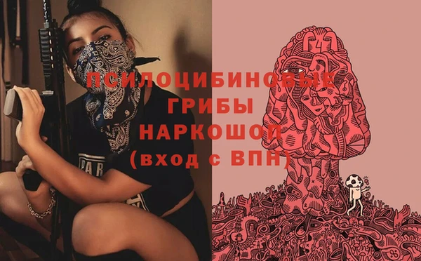 прущий лед Дмитриев