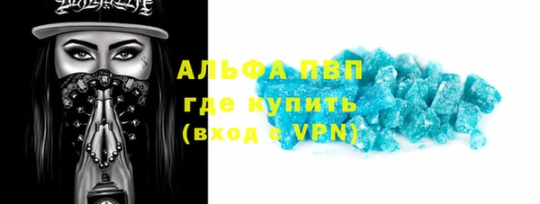 индика Дмитров