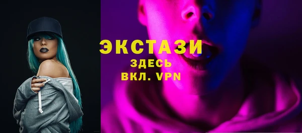 индика Дмитров