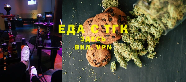 индика Дмитров