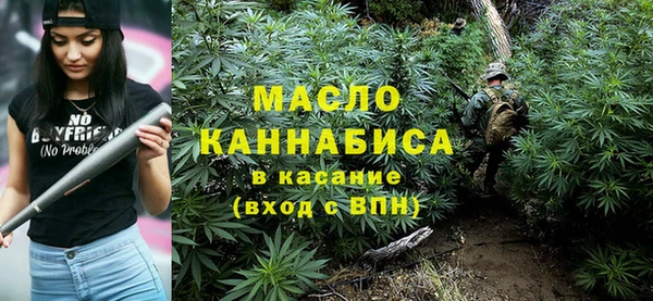 индика Дмитров