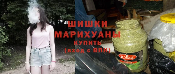 прущий лед Дмитриев