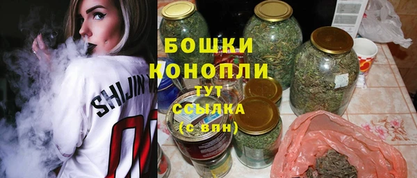 ECSTASY Дмитровск