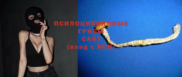 прущий лед Дмитриев