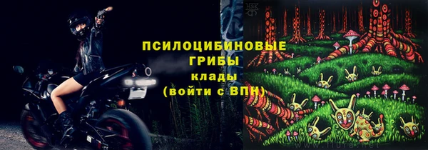 прущий лед Дмитриев