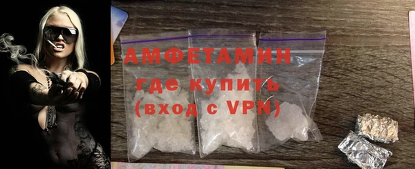 индика Дмитров