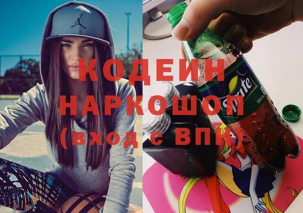 индика Дмитров