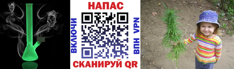 Купить где  Карталы  Конопля SATIVA & INDICA 